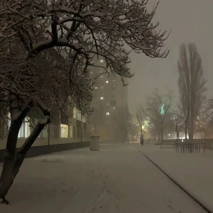 美女被强行上垒
