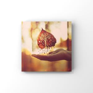 美女被强行上垒
